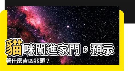 貓進家門|【貓進家門】貓咪闖進家門，預示著什麼吉凶兆頭？